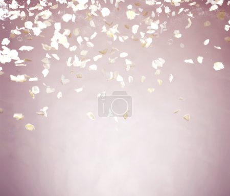 Flying petals with pinky background