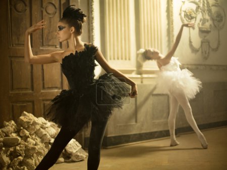 Two cute swans in ballet dance