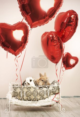 Two rabbits in romantic scene with balloons