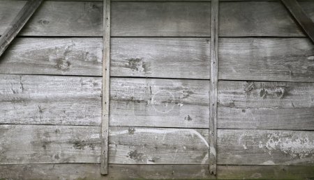 Picture of wooden background texture