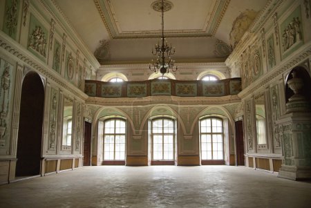 Picture presenting interior of the palace