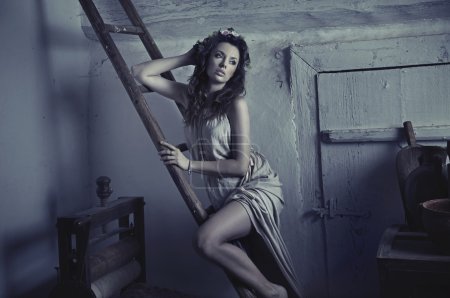 Sexy cute lady leaning on wooden ladder