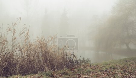 Foggy morning over the still lake