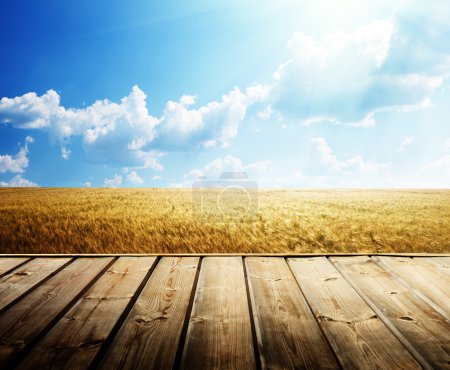 wooden floor and summer wheat field