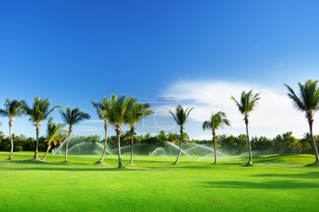 Irrigation golf course