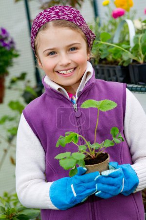 Gardening, planting - lovely girl with strawberry seedling in the greenhouse