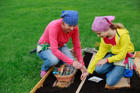 Gardening - sowing seeds to the soil