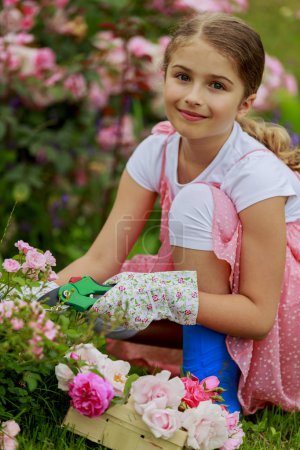 Rose garden - beautiful girl cutting roses in the garden