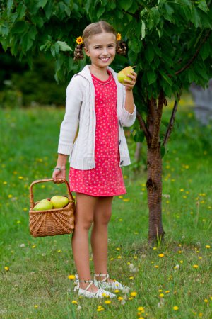 Fruits orchard, garden - lovely girl eating picked ripe pear