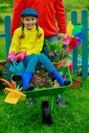 Gardening, planting - girl in barrowl helping father in the gard