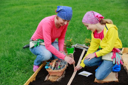 Gardening - sowing seeds to the soil