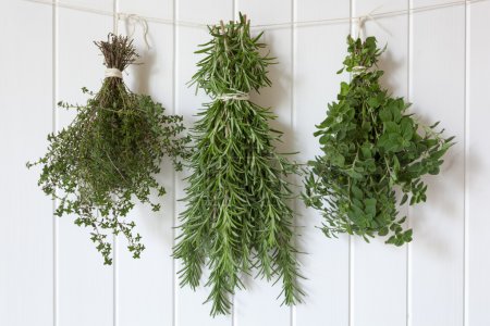 Fresh Herbs Hanging
