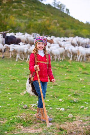Kid girl shepherdess happy with flock of sheep and stick