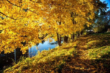 Picturesque autumn landscape. Sigulda, Latvia