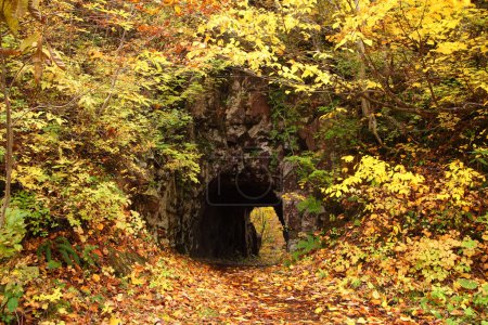 Tunnel with autum leaves