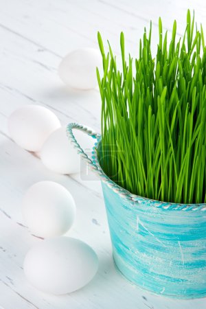 Green grass and white eggs