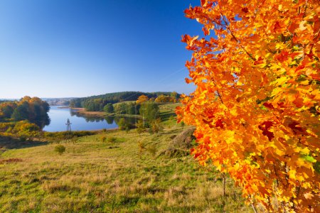 Autumnal scenery of meadow and lake