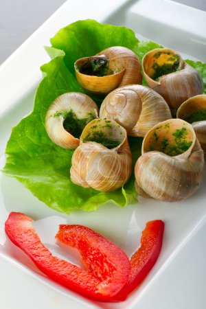 French snails in garlic butter