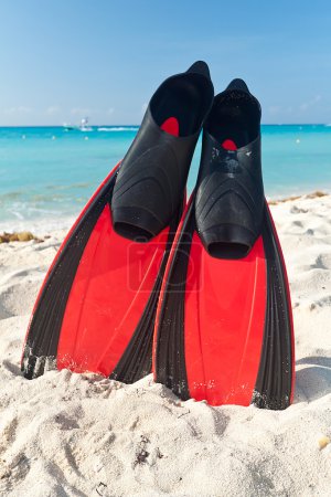 Red flippers at the Caribbean Sea