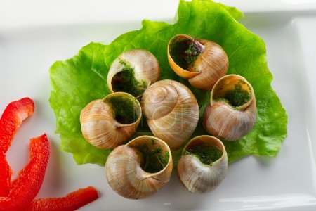 French snails in garlic butter