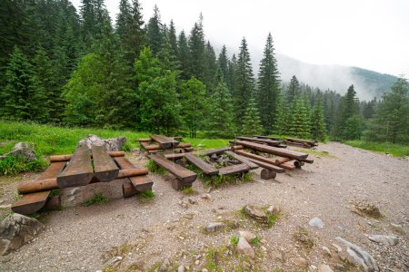 Forest trail in Tatra mountains