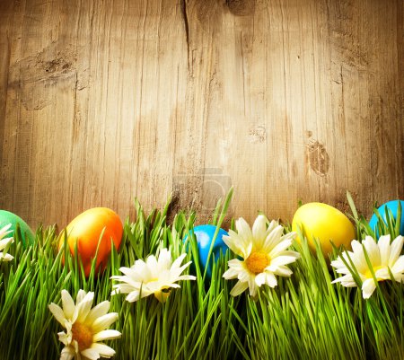 Colorful Easter Eggs in Spring Grass and Flowers over Wood
