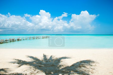 Caribbean Island. Vacation and Tourism concept. Sun and Palms
