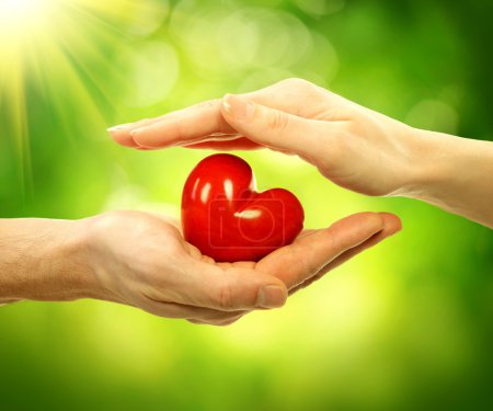 Valentine Heart in Man and Woman Hands over Nature Background