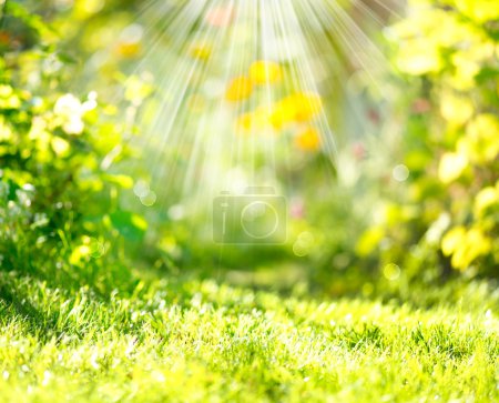 Nature Spring Blurred Background with Sunbeams