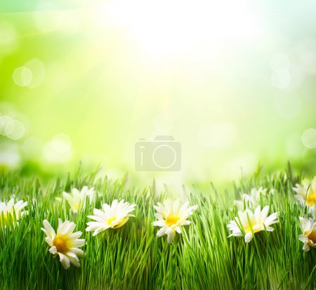Spring Meadow with Daisies. Grass and Flowers border