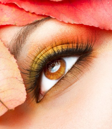Autumn Makeup. Fall Make-up Closeup