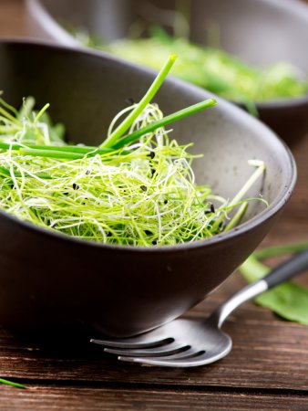 Microgreens. Healthy Green Salad. Little Sprouts. Diet