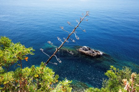 Via del Amore on the Ligurian Coast, Cinque Terre, Italy