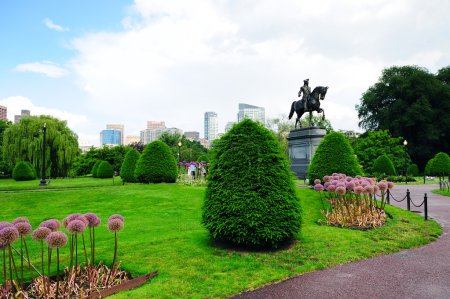 Boston Common park and skyline