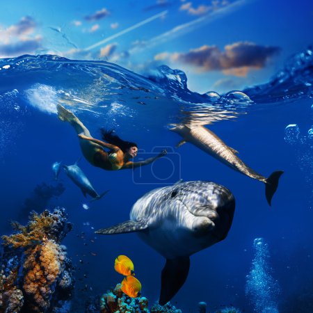 colorful underwater coral scene with dolphins fish and beautiful