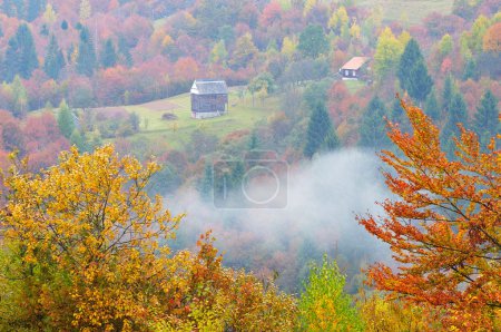 Autumn rural landscape 