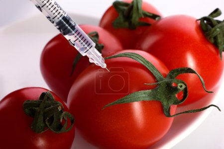 injection of fresh tomatoes