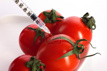 fresh tomatoes injection