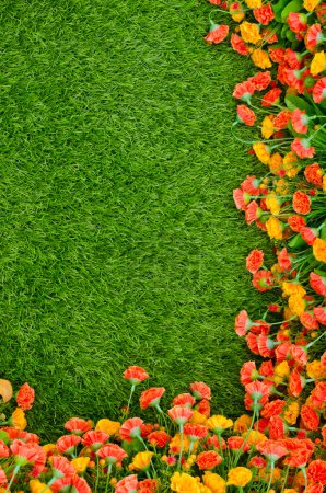 Artificial Grass Field and Flowers