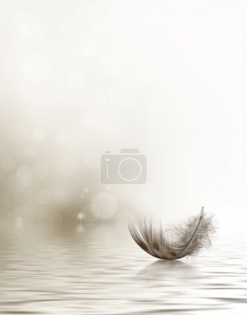 Condolence or sympathy design with a feather