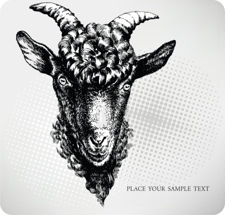 Black goat hand drawn. Vector illustration