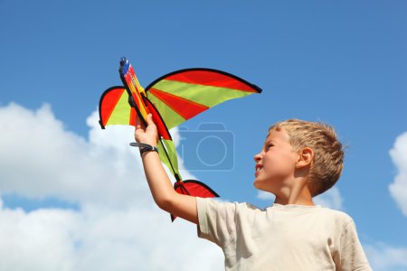 Boy plays kite against sky