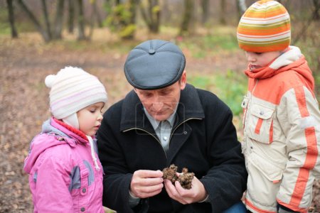 Grandfather with grandsons in wood in autumn