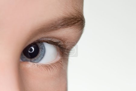 Left blue eye of child close up isolated on white background