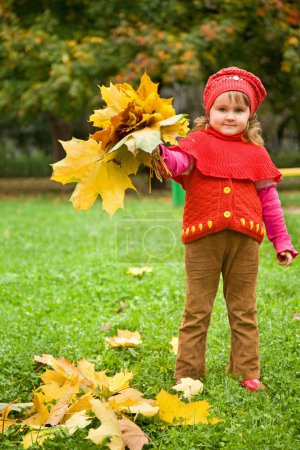 Little girl collect maple leafs In park in autumn