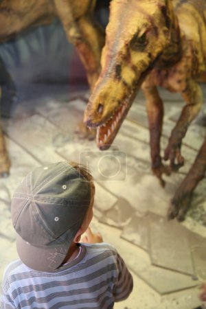 Boy and dinosaur in museum