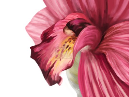 Orchid drawing