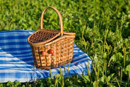 Basket with sweet cherries on glade