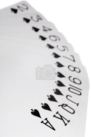 Playing cards of colour of Spade isolated on white background, d