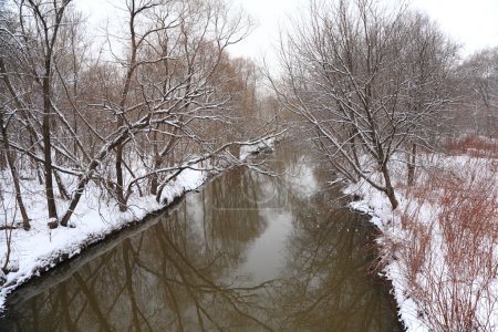 Winter wood with river